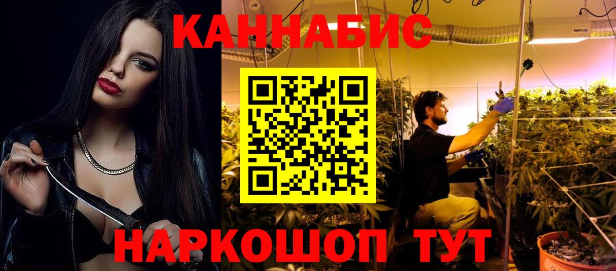 Каннабис индика Ухта
